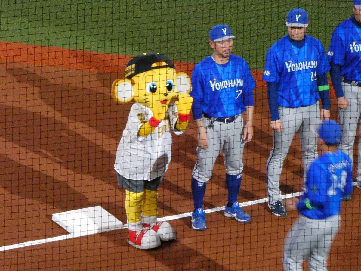 𝚗🪽 tweet media