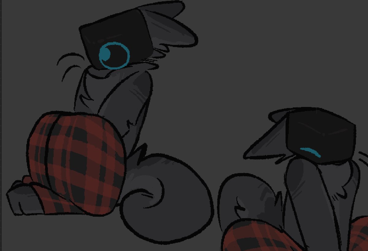 dragonbooper tweet media