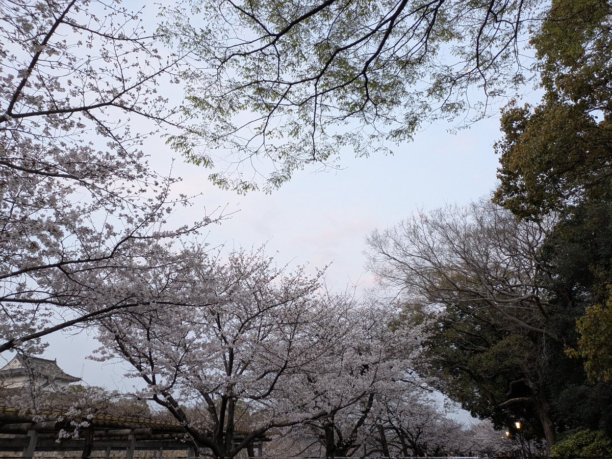 ネクストシステムラボラトリーズ有限会社【公式】 tweet media