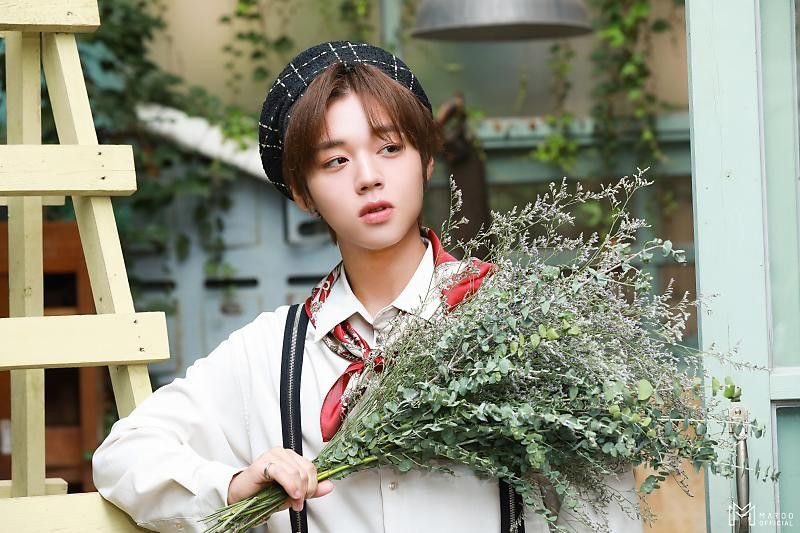 푸팸이 tweet media