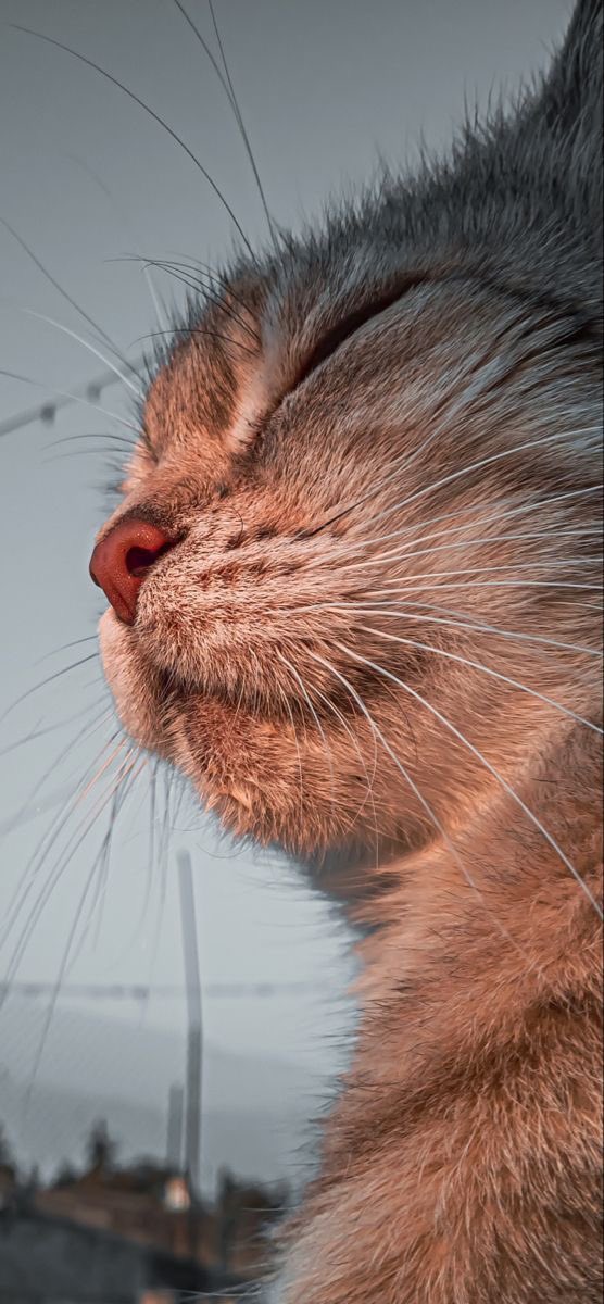 💫 †åmï 💫 tweet media