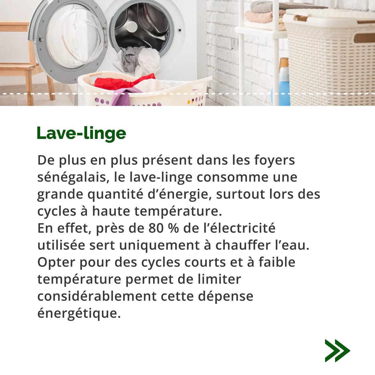 EcoSystemSN tweet media