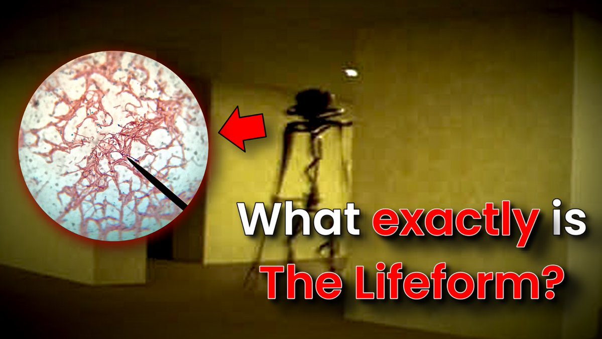 Red is a Stranger 🌹🇵🇷 tweet media