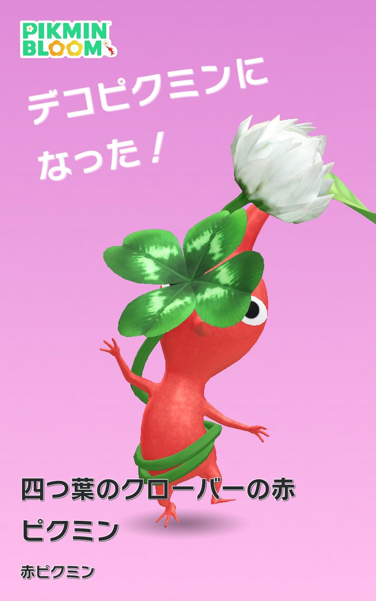 ぼんれすはむ tweet media