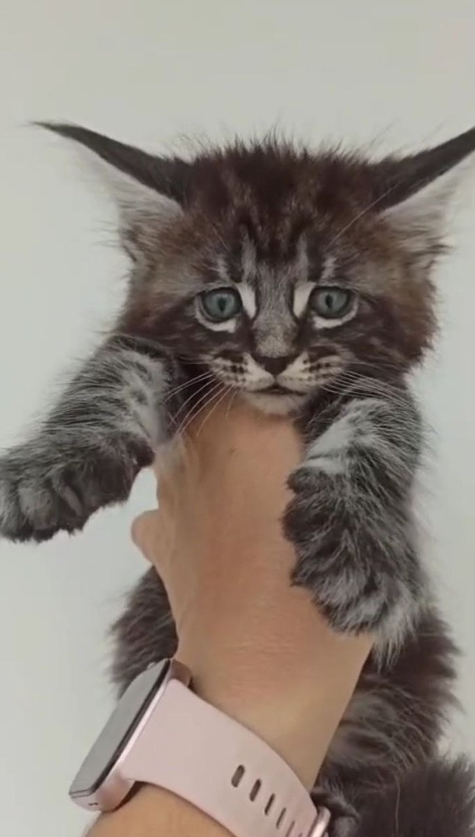 Mad as birds 🍂 tweet media