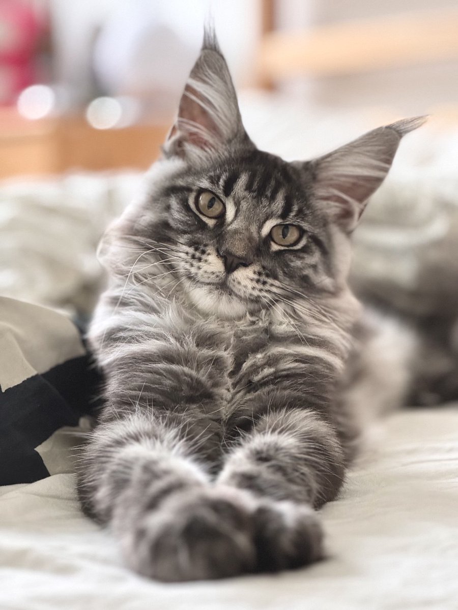 Mad as birds 🍂 tweet media