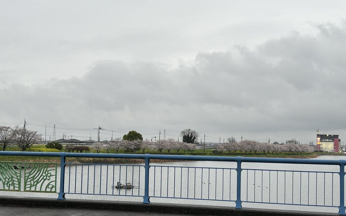 まいころりん《道産子さいたまGLAYER》 tweet media