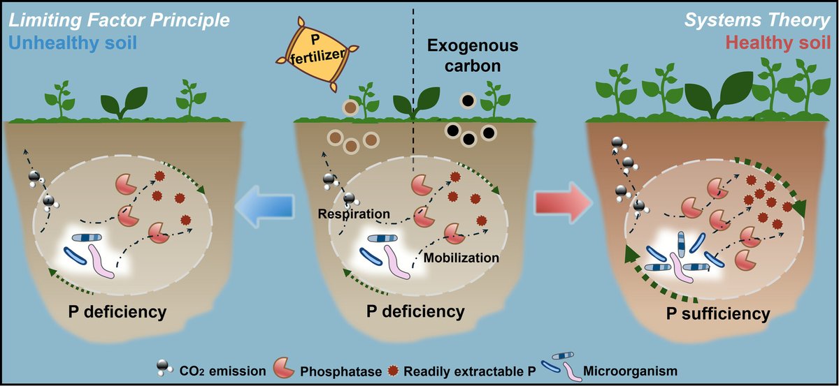 European Journal of Soil Science tweet media