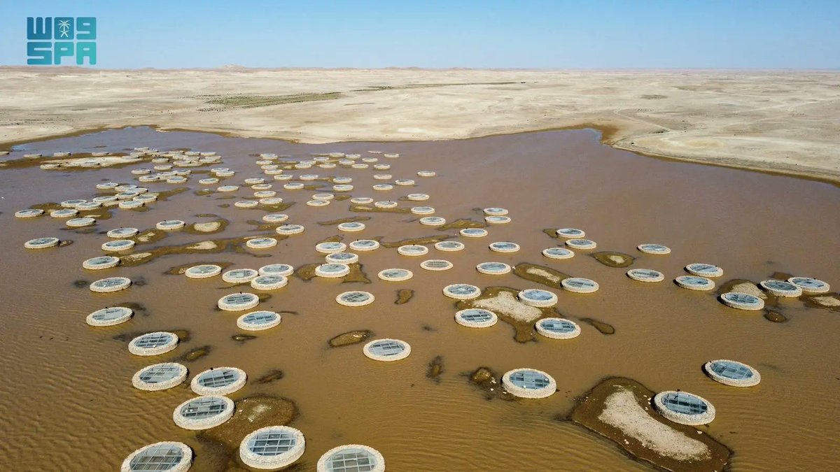 واس فارسى tweet media