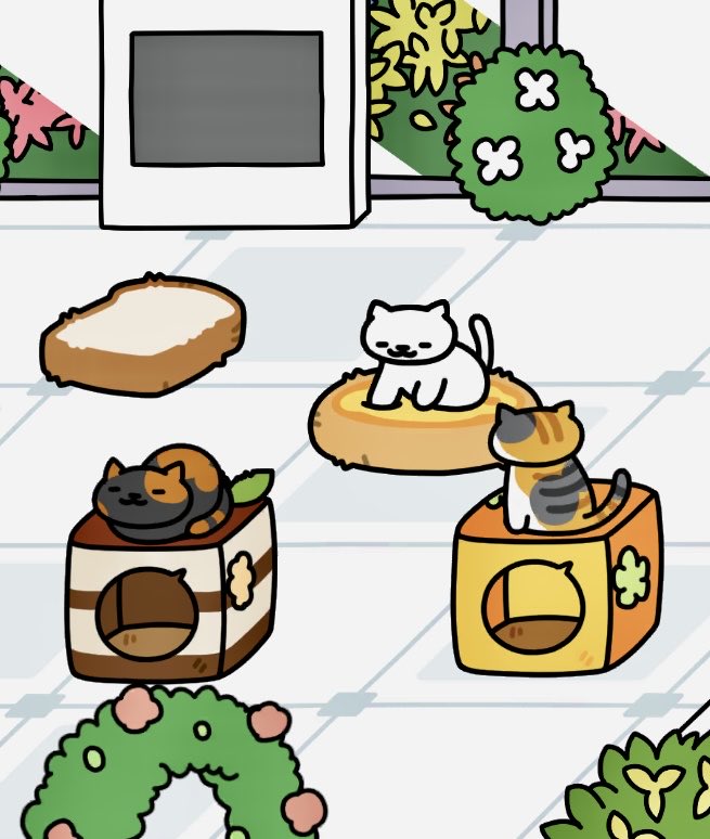 サラダ tweet media