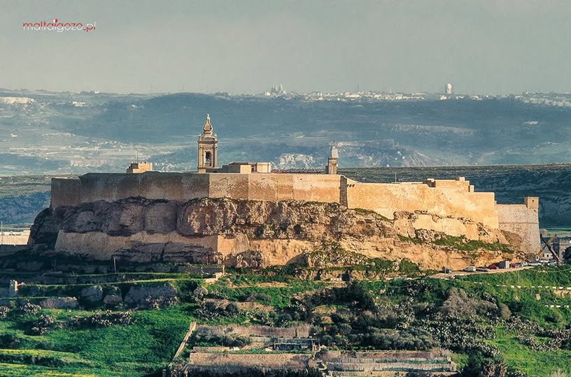 MALTAIGOZO.PL tweet media