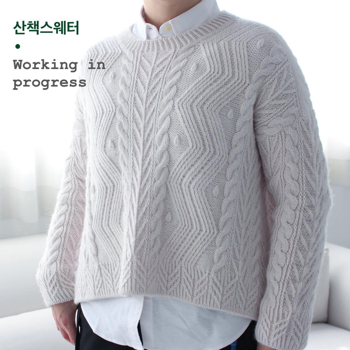 feimið ljón 페이미 리욘 tweet media