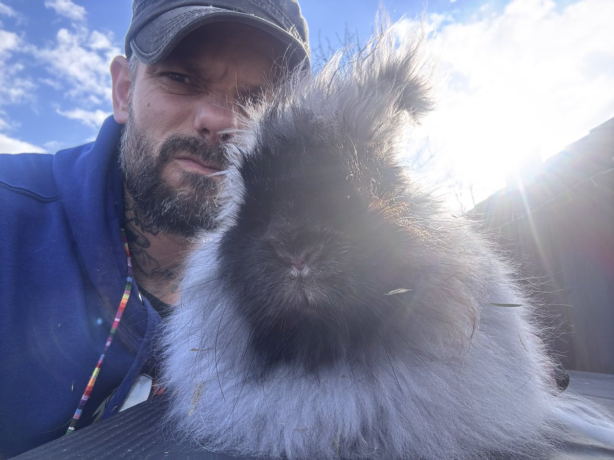 Carrot Cottage Rabbit Rescue tweet media