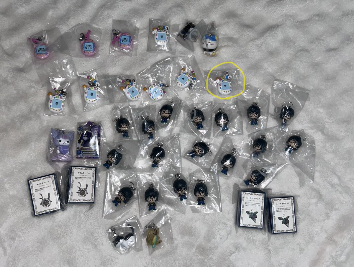 ぼんちゃん tweet media