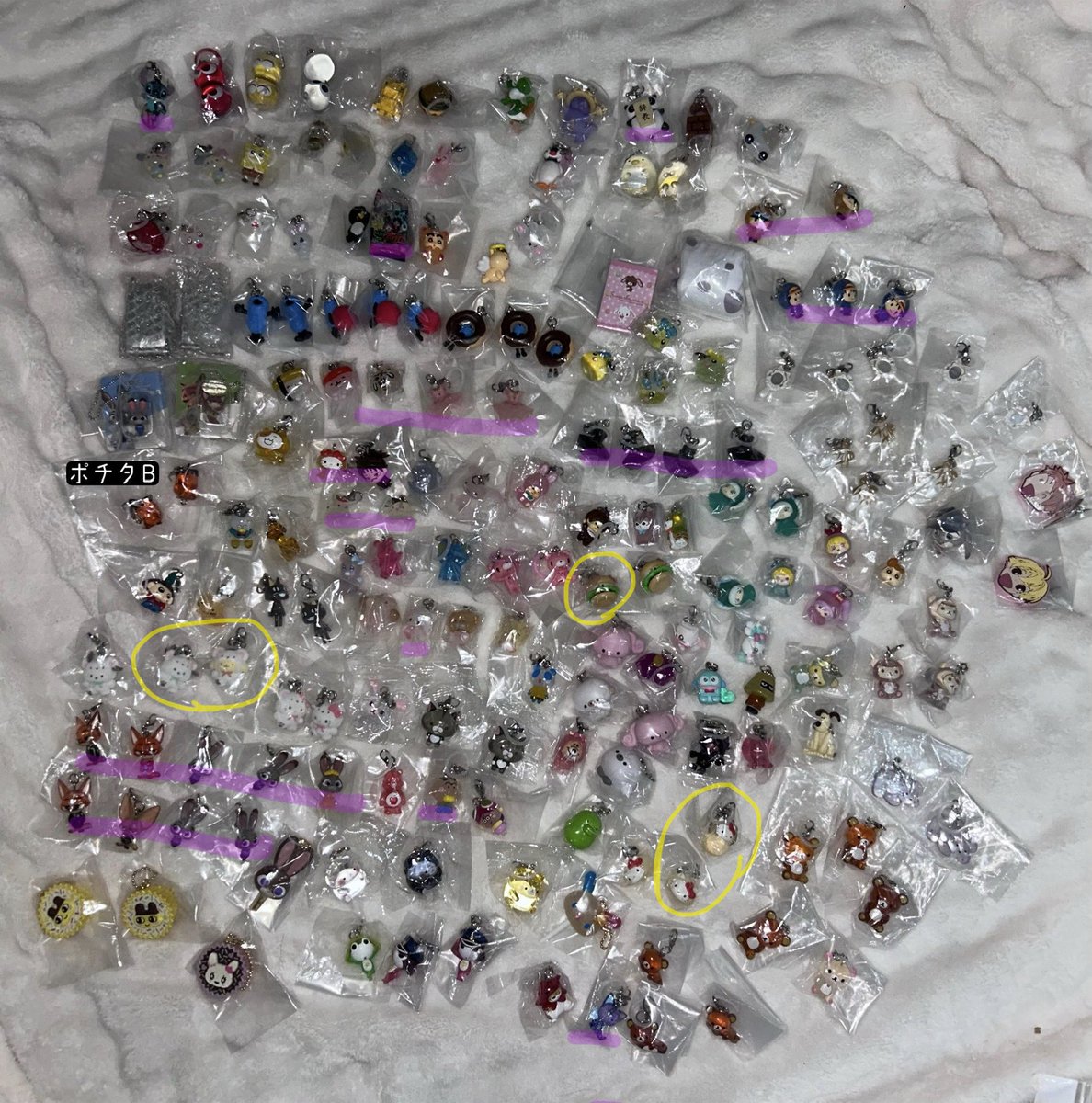 ぼんちゃん tweet media