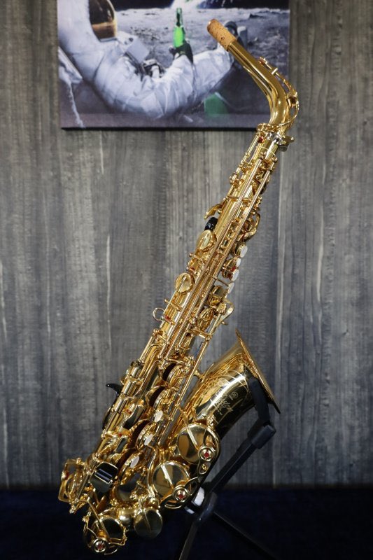 MOUTON Used Selection tweet media