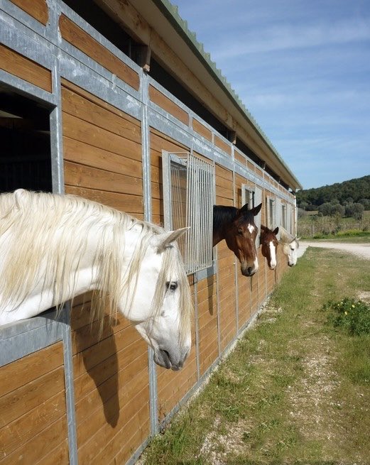 ماجد بن مهل tweet media