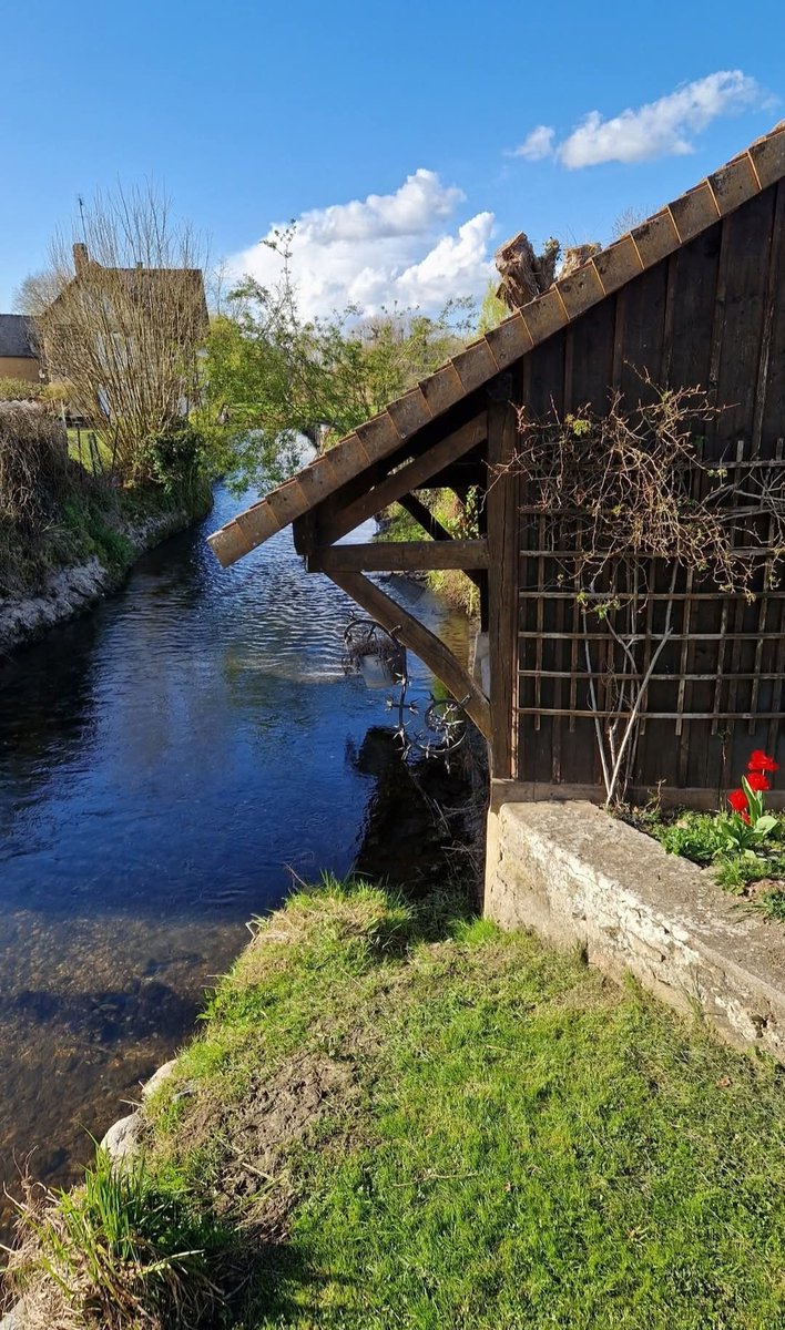 🐝🌿📐Olivier💙🐺💙 tweet media