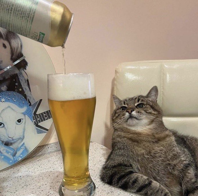 🇯🇵星空音夢🇯🇵 tweet media