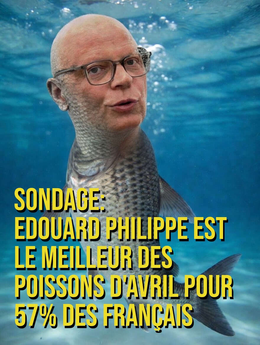 Regan MARKLE tweet media