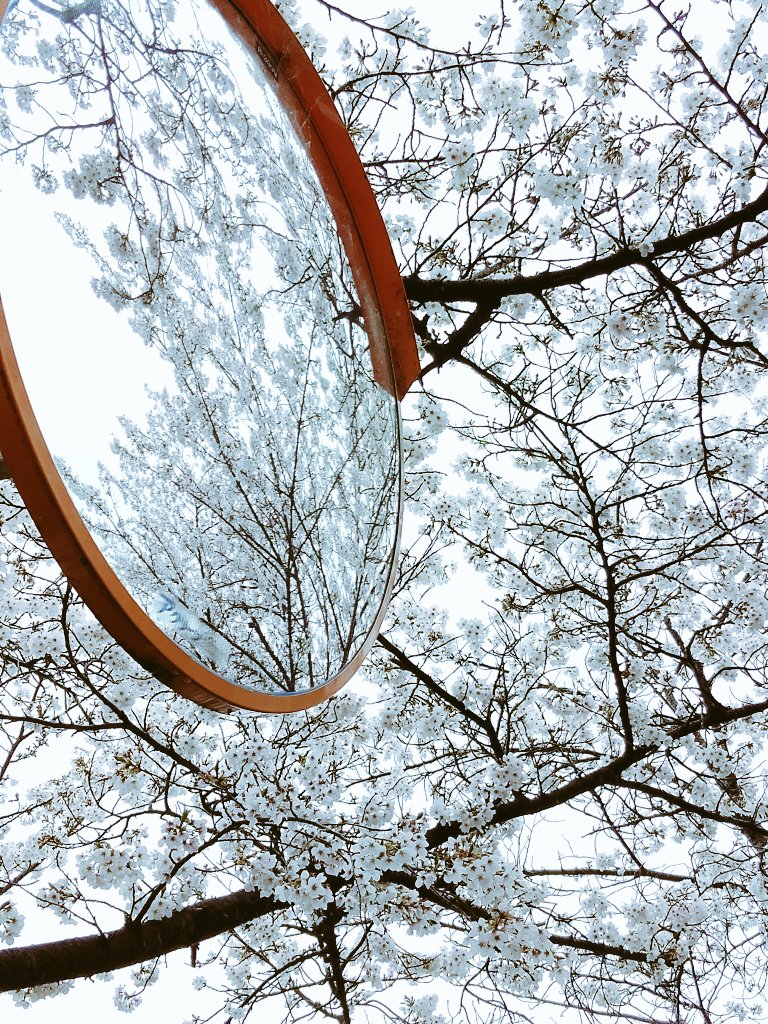 けぃ@ガフ2papa tweet media