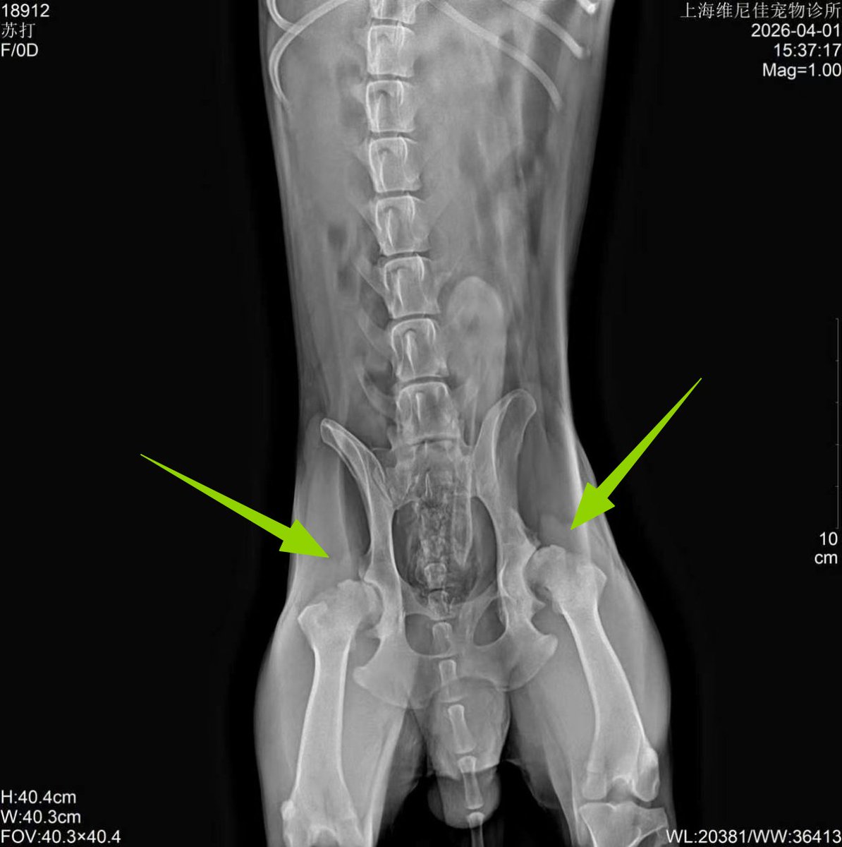 Crypto_Painter tweet media