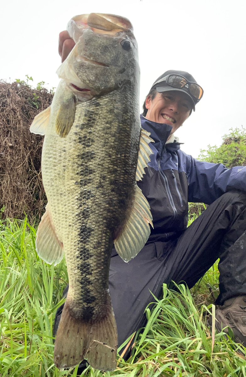 佐々木勝也 tweet media