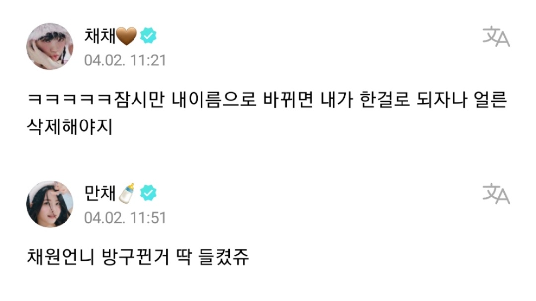 채채즈 파일 tweet media