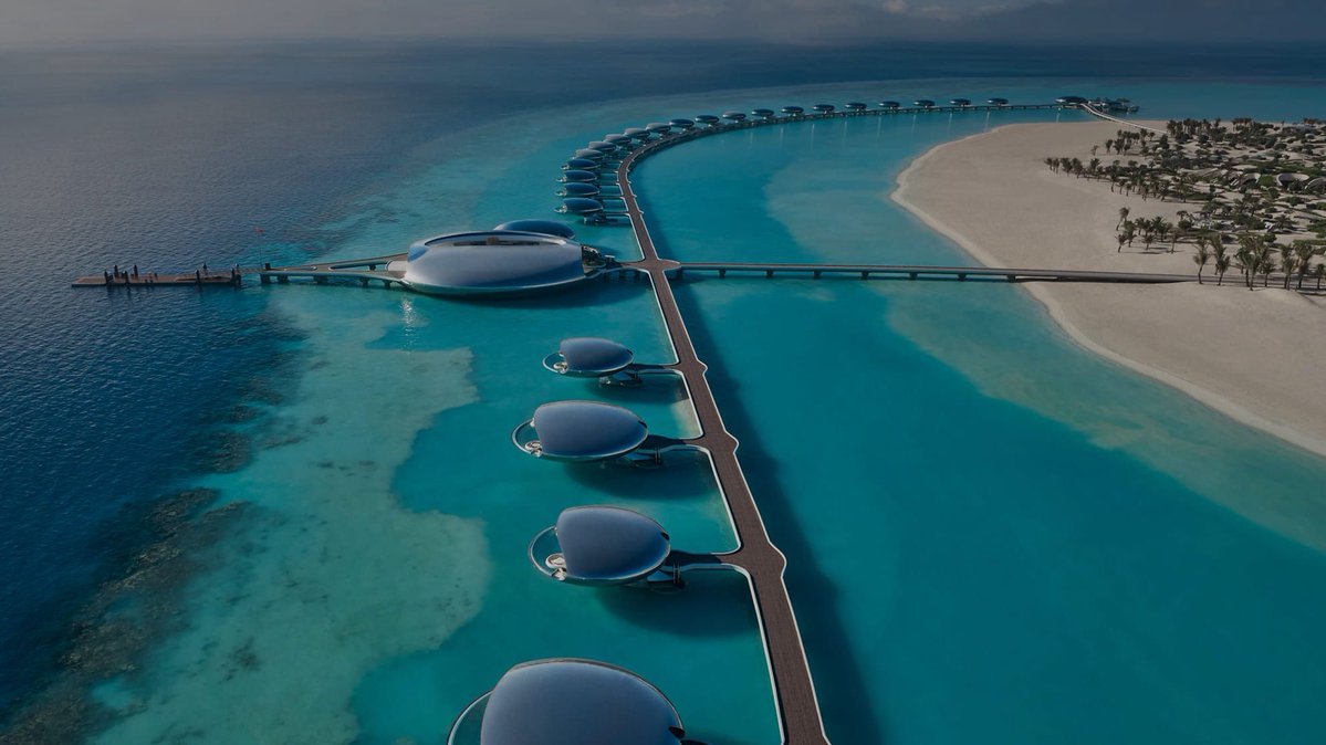 المخضرم 先生 tweet media