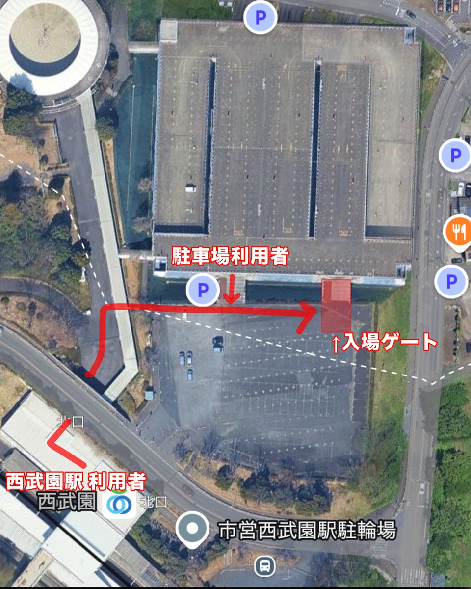 AVA STUDIO tweet media