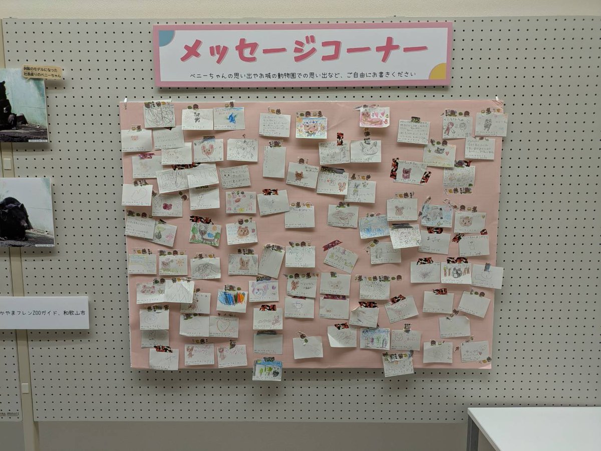 和歌山県立自然博物館 tweet media