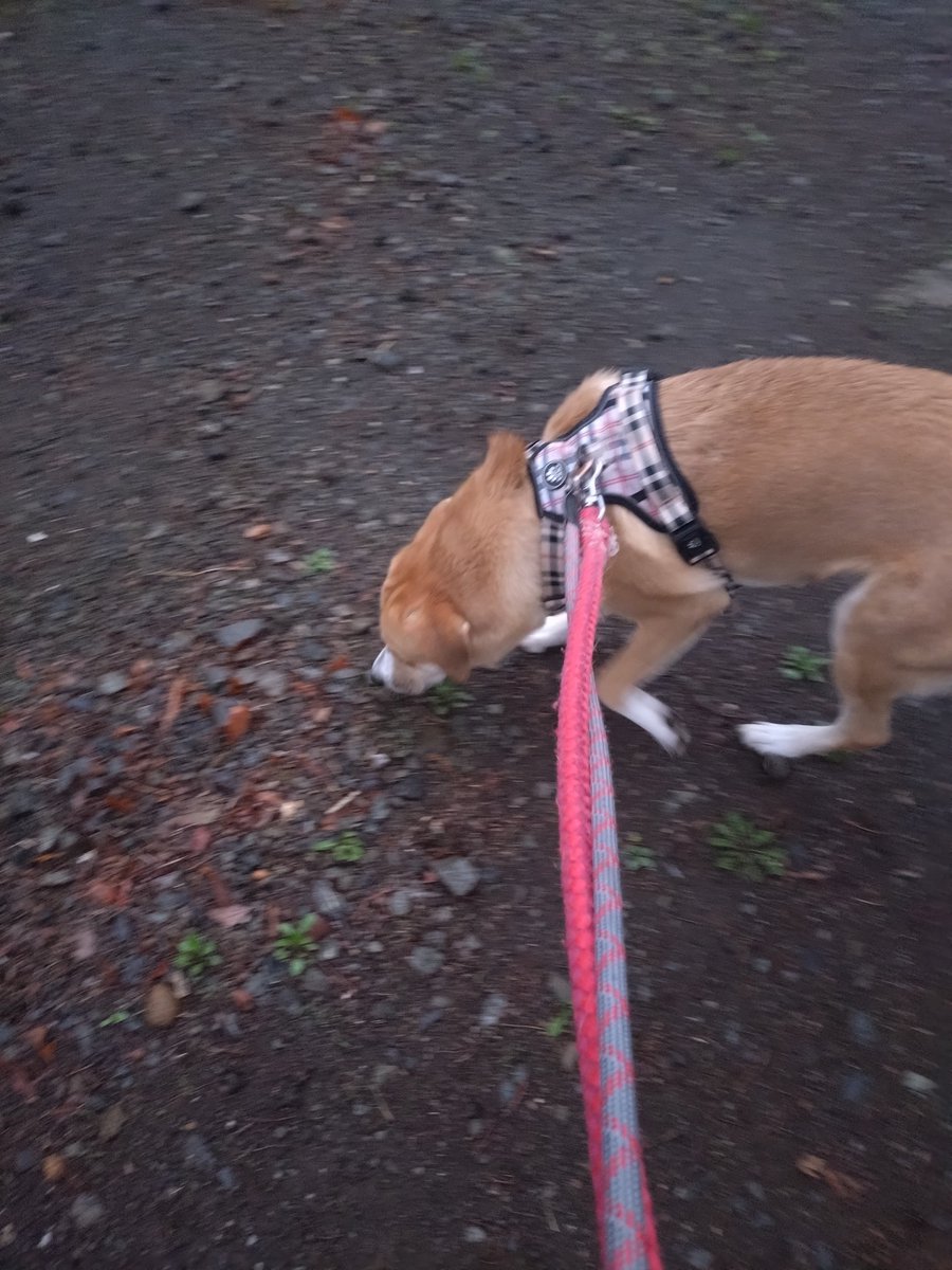 渡辺保裕 汐の匂い tweet media