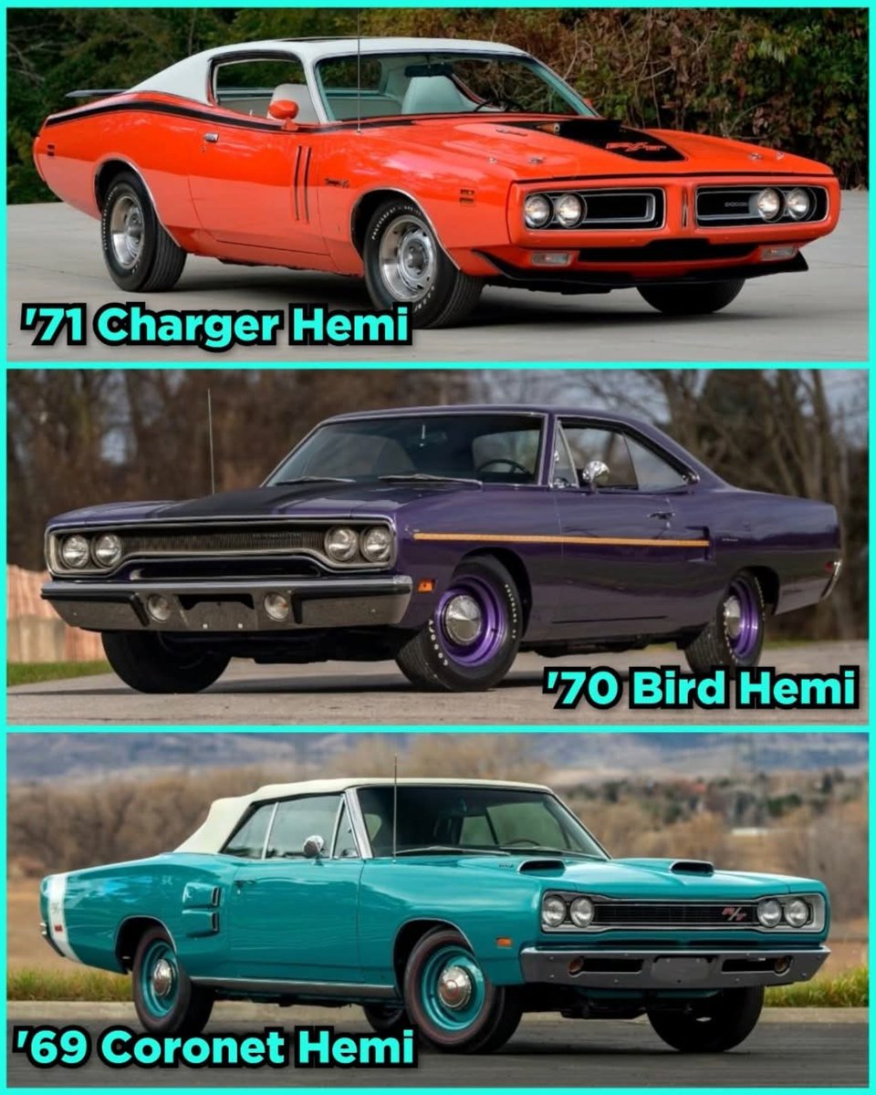 Classic Car Logic tweet media