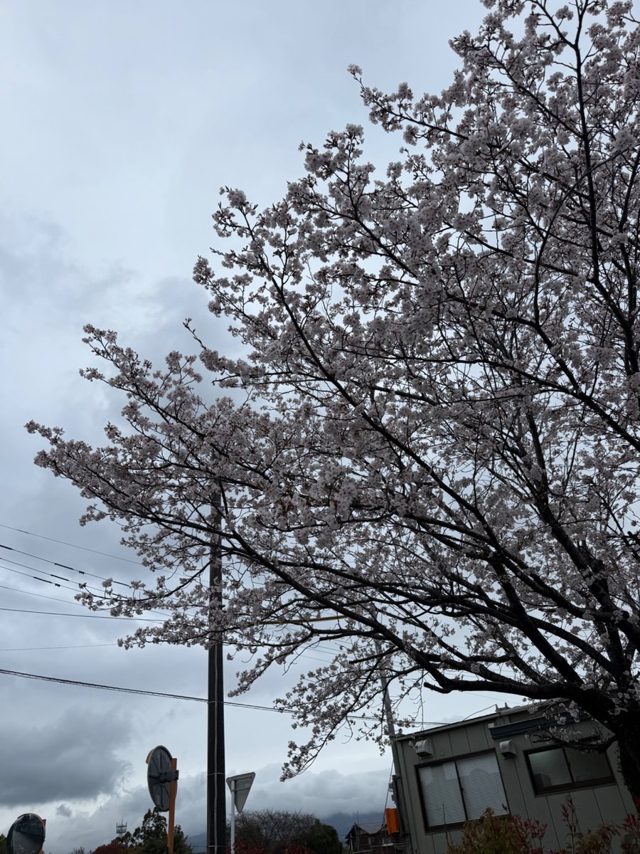 ひろくん🍥 tweet media