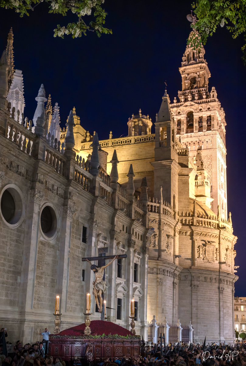 David Arias tweet media