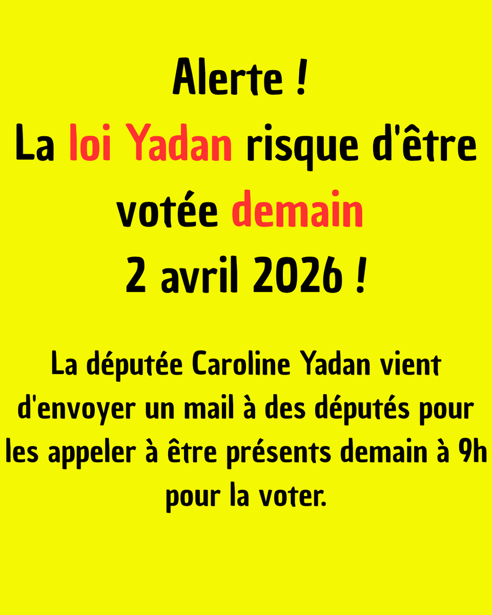 Meriem Laribi مريم لعريبي tweet media