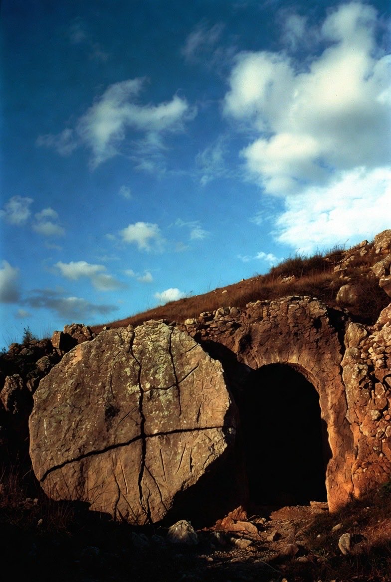 Lucas Pessoa tweet media