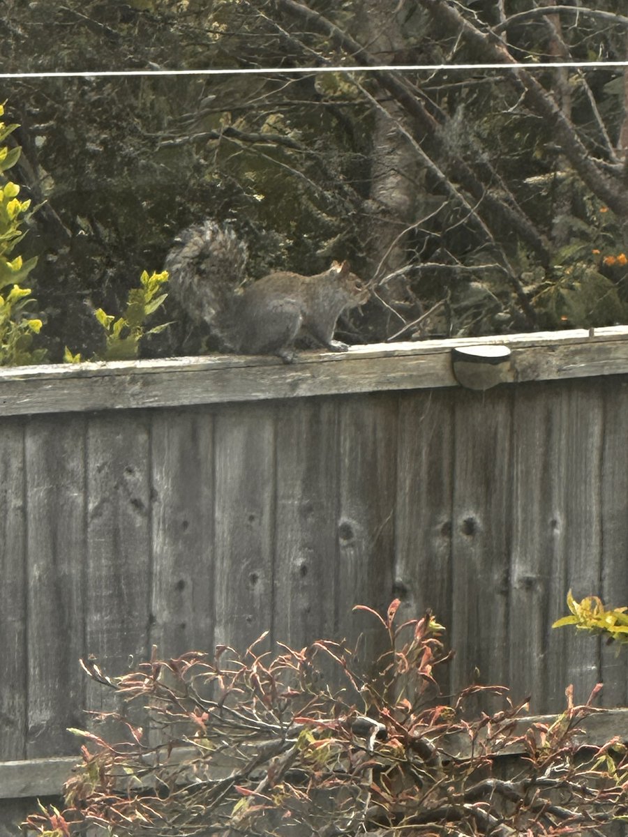 John Aky tweet media