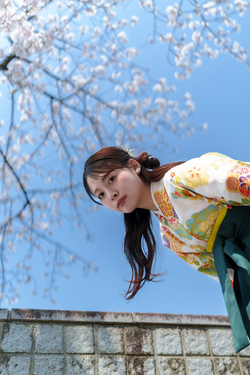 🌸ソメイヨシノ真っ盛り🌸

今井七緒 さん
<a href="/imainao_429/">今井 七緒 / いまい なお</a> 
#犬山市
SIGMA 35mm F1.2 DG II