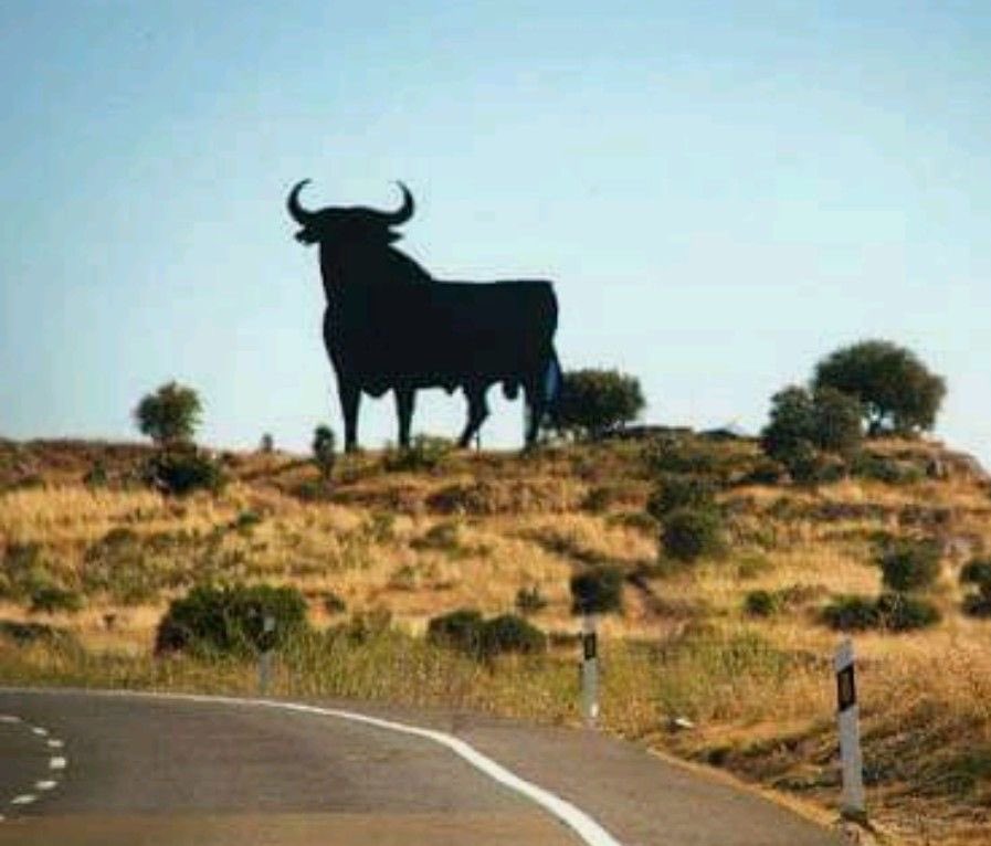 🏛️⚡️ tweet media