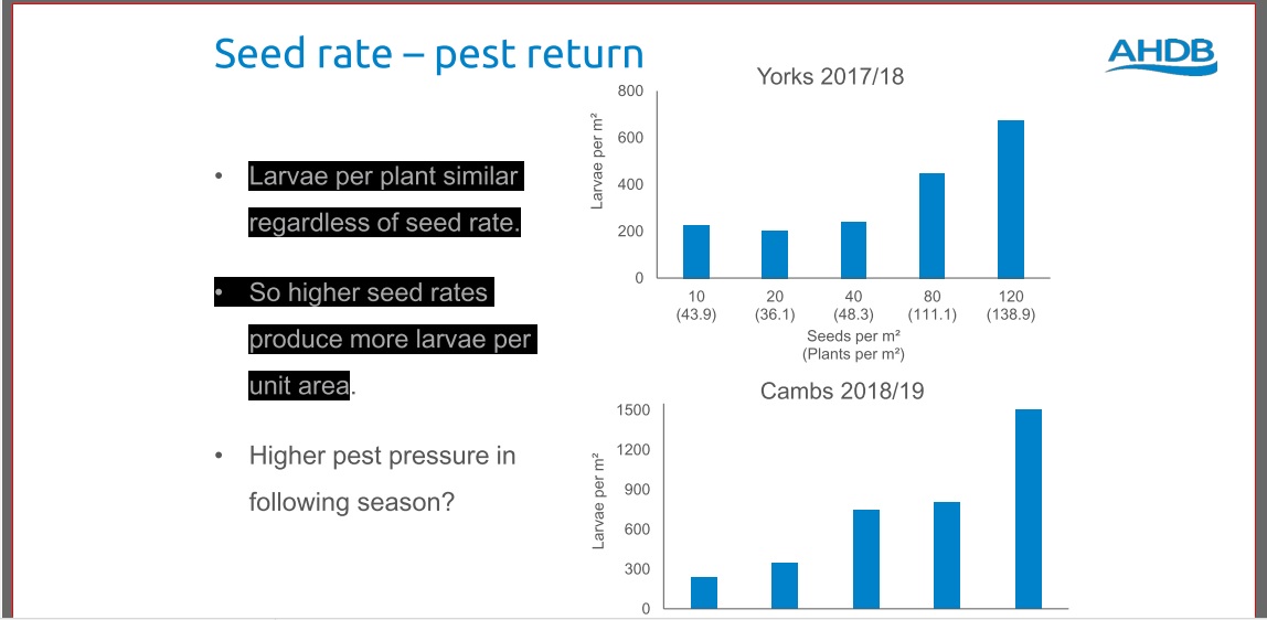 Lionel Mesnage tweet media