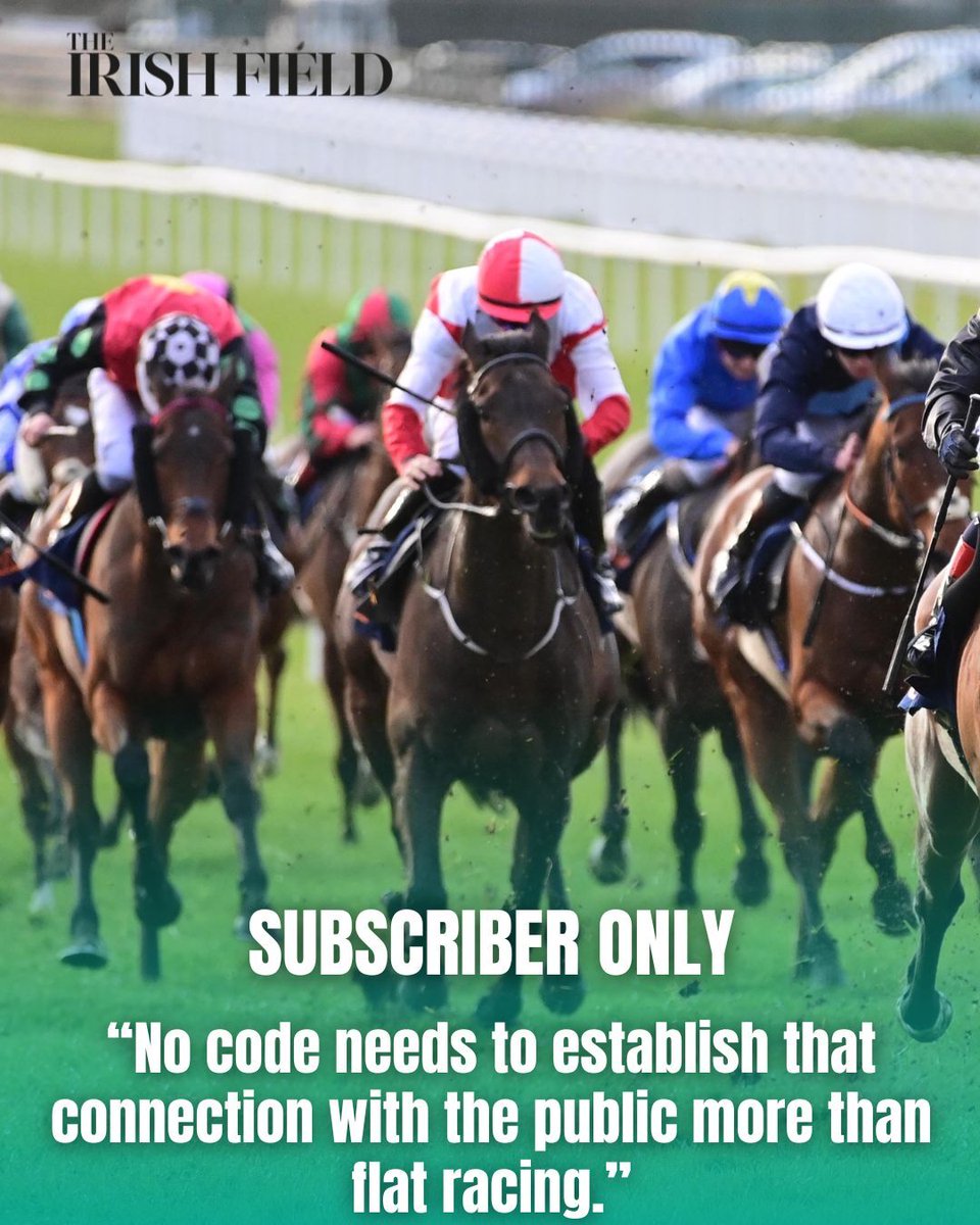 The Irish Field tweet media