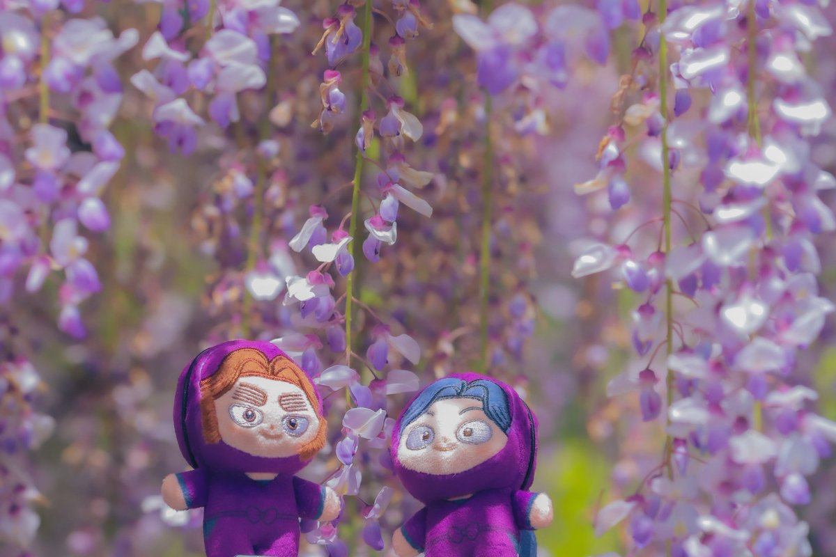 佐倉まつ tweet media