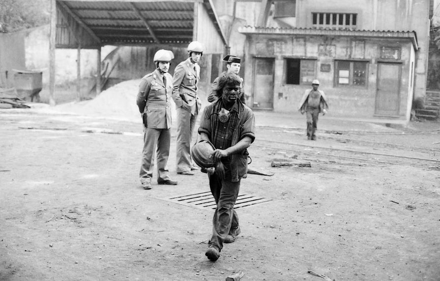 NoelTuñón 🔻 tweet media