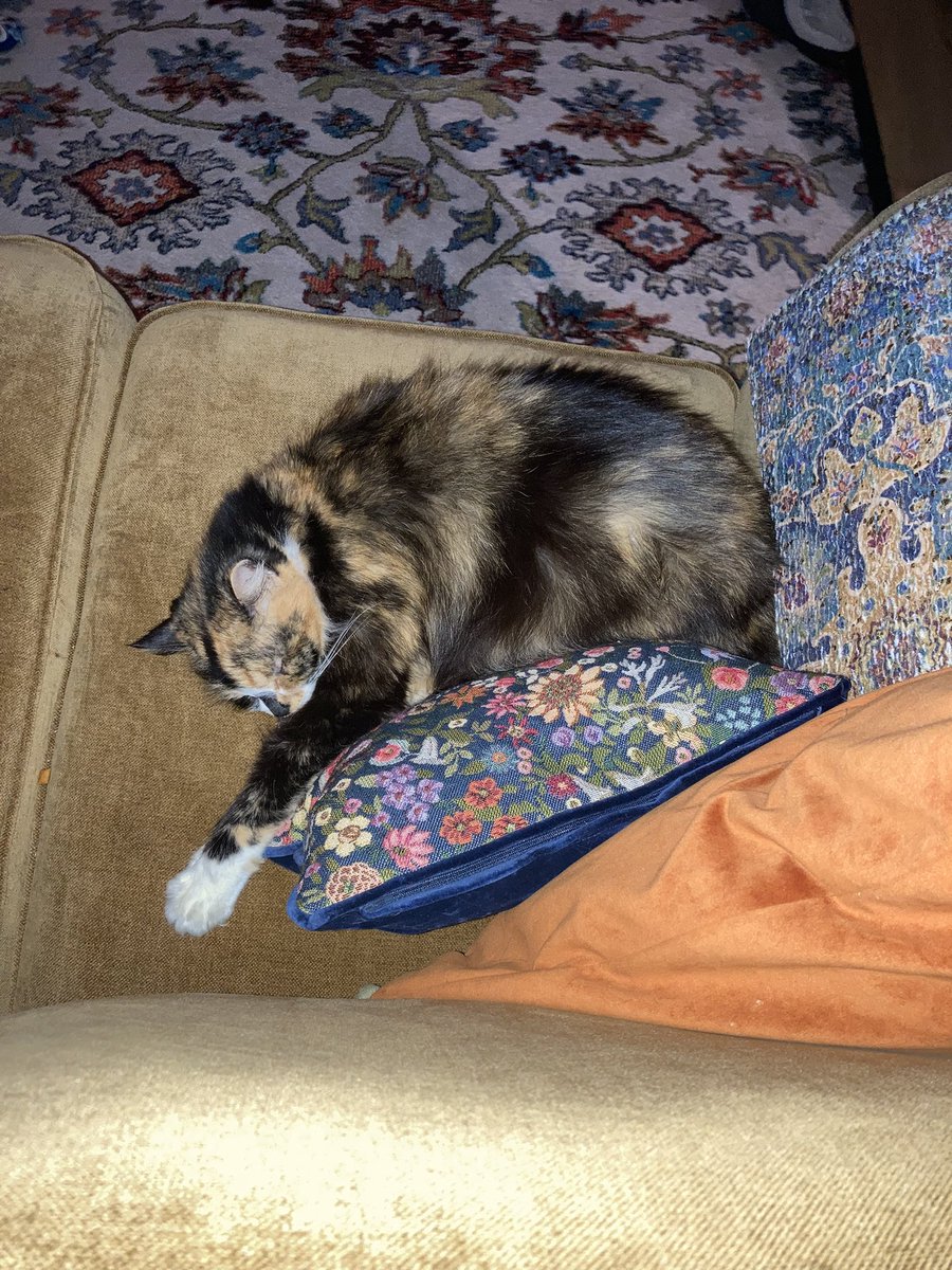 Jayne 💙 tweet media