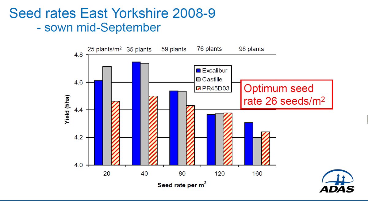 Lionel Mesnage tweet media