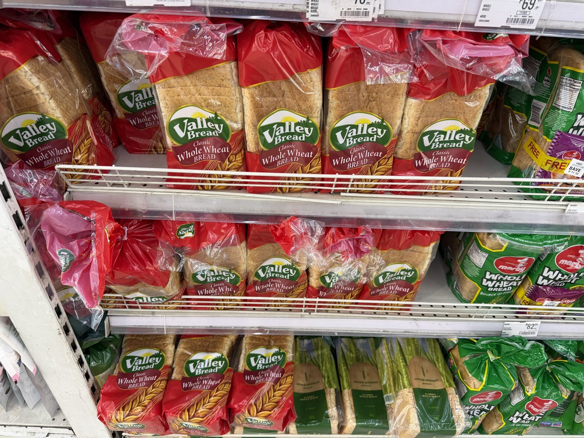 旅じぃ🇵🇭バギオお試し滞在中 tweet media