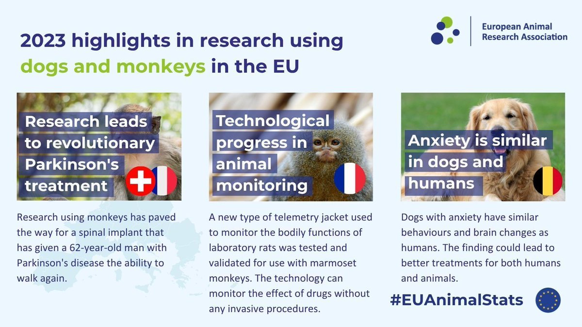 The_EARA's tweet photo. 0.22% of the animals used in #BiomedicalResearch in the EU in 2023 were cats, dogs and monkeys. Despite being a minority, these animals are still crucial to develop important research.
🔗 https://t.co/PoIgEwEGHE
#EUAnimalStats #cats #dogs #NHP https://t.co/VficrNGBir