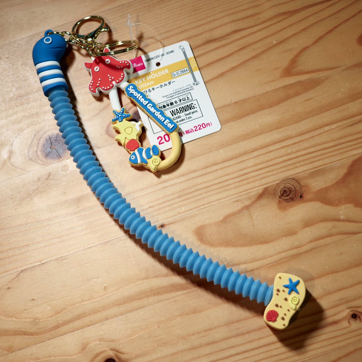 ちんあなごニュース by 日本チンアナゴ協会 tweet media