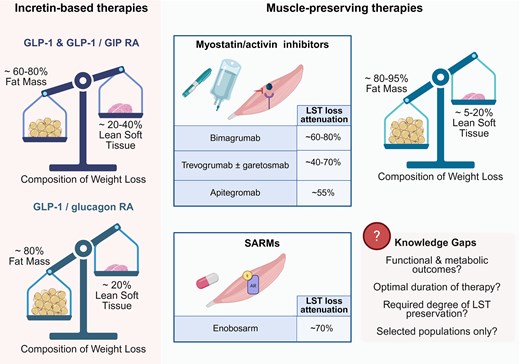 Obesity and Endocrinology tweet media